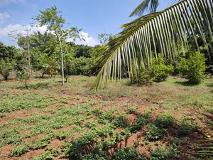 High-Value Land