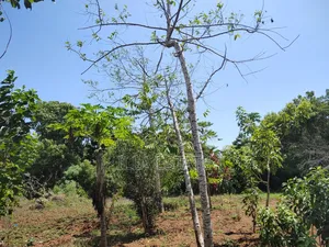High-Value Land