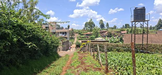 100x100 Available Plot for Lease Gathiga - thumbnail 4