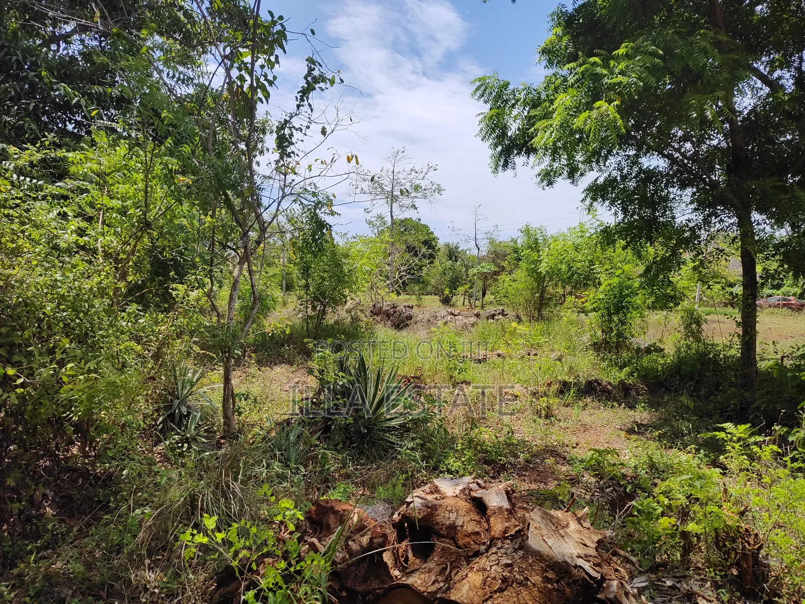 High-Value Land