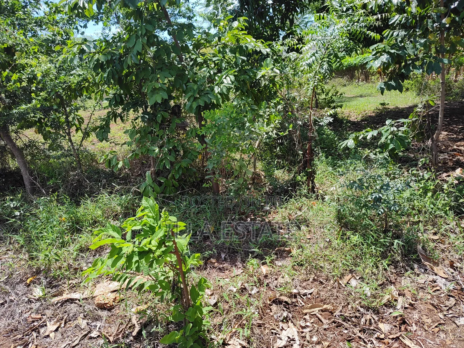 High-Value Land