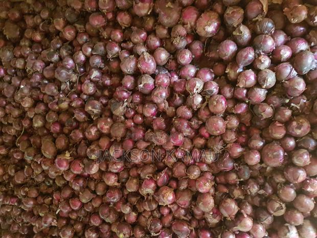 Onions for Sale - main view