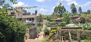 50x100 Available Plot for Sale Gathiga Kabete
