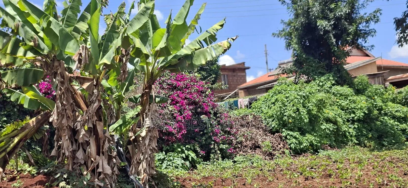 50x100 Available Plot for Sale Gathiga Kabete