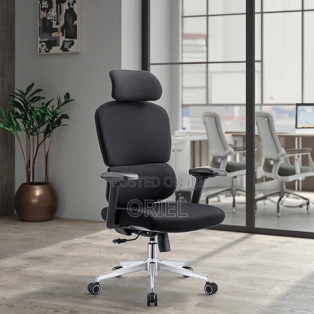 Office Chair : Premium High-Back Orthopedic Ergonomic Office Chair - main view