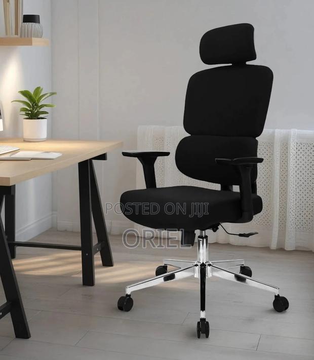 Office Chair : Premium High-Back Orthopedic Ergonomic Office Chair - thumbnail 3