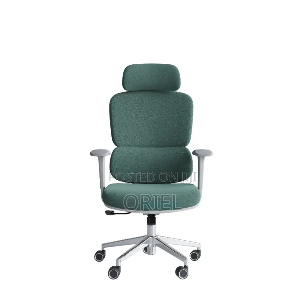 Office Chair : Premium High-Back Orthopedic Ergonomic Office Chair
