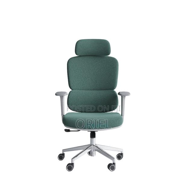 Office Chair : Premium High-Back Orthopedic Ergonomic Office Chair - thumbnail 4