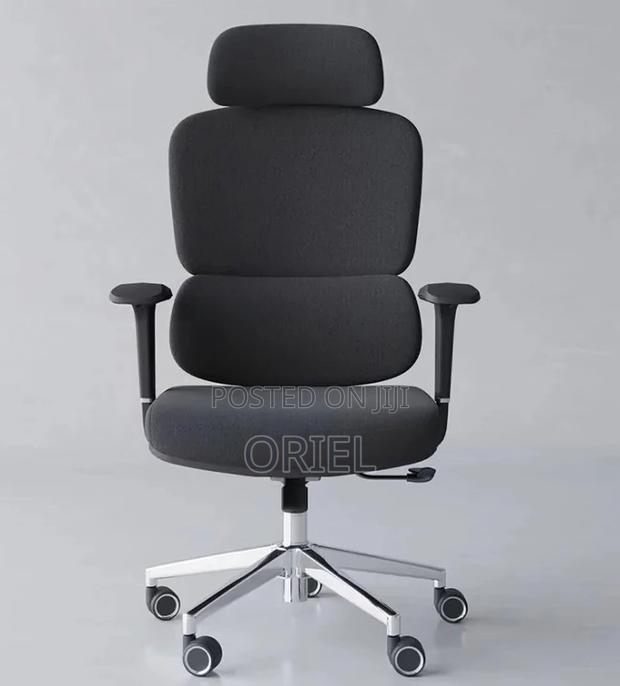 Office Chair : Premium High-Back Orthopedic Ergonomic Office Chair - thumbnail 6