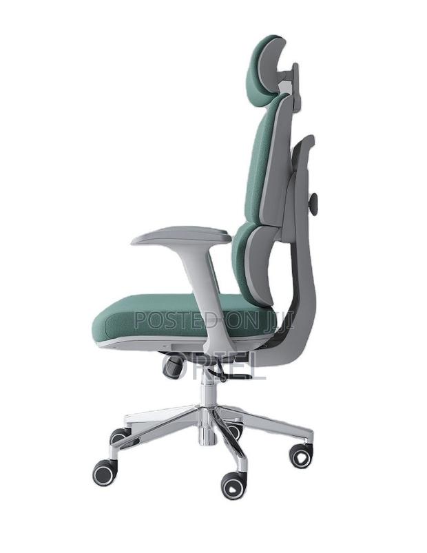Office Chair : Premium High-Back Orthopedic Ergonomic Office Chair - thumbnail 7