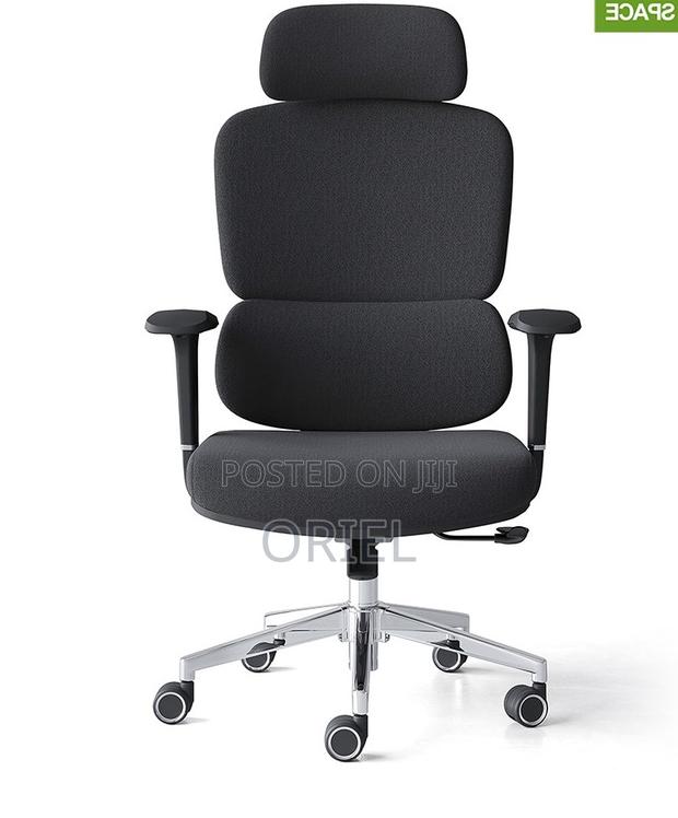 Office Chair : Premium High-Back Orthopedic Ergonomic Office Chair - thumbnail 9
