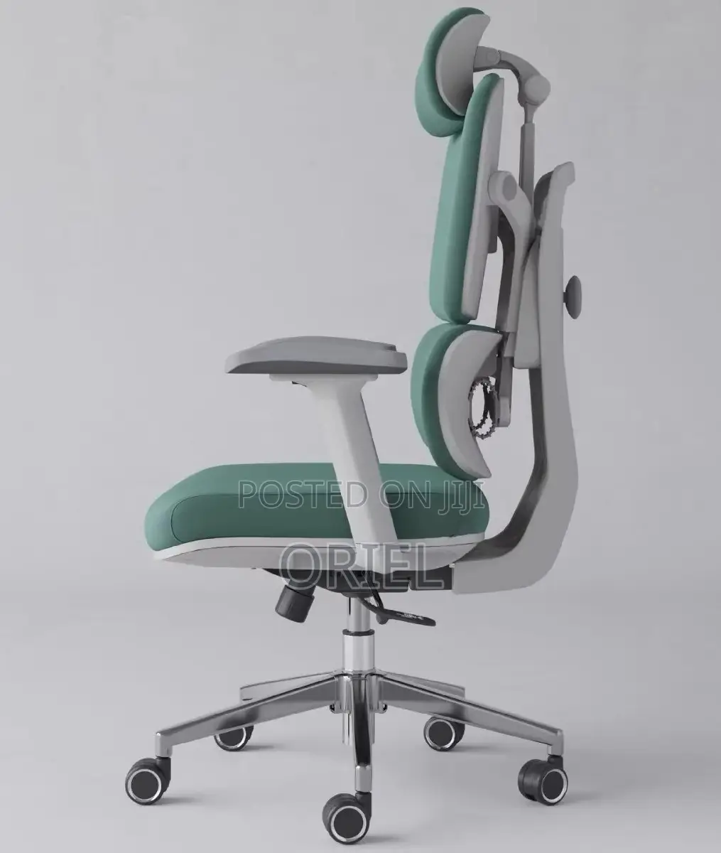 Office Chair : Premium High-Back Orthopedic Ergonomic Office Chair