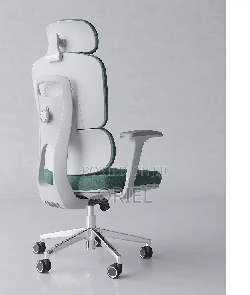Office Chair : Premium High-Back Orthopedic Ergonomic Office Chair