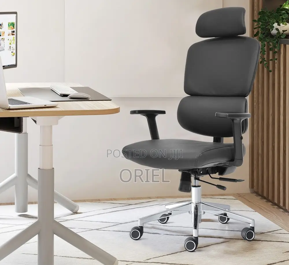 Office Chair : Premium High-Back Orthopedic Ergonomic Office Chair