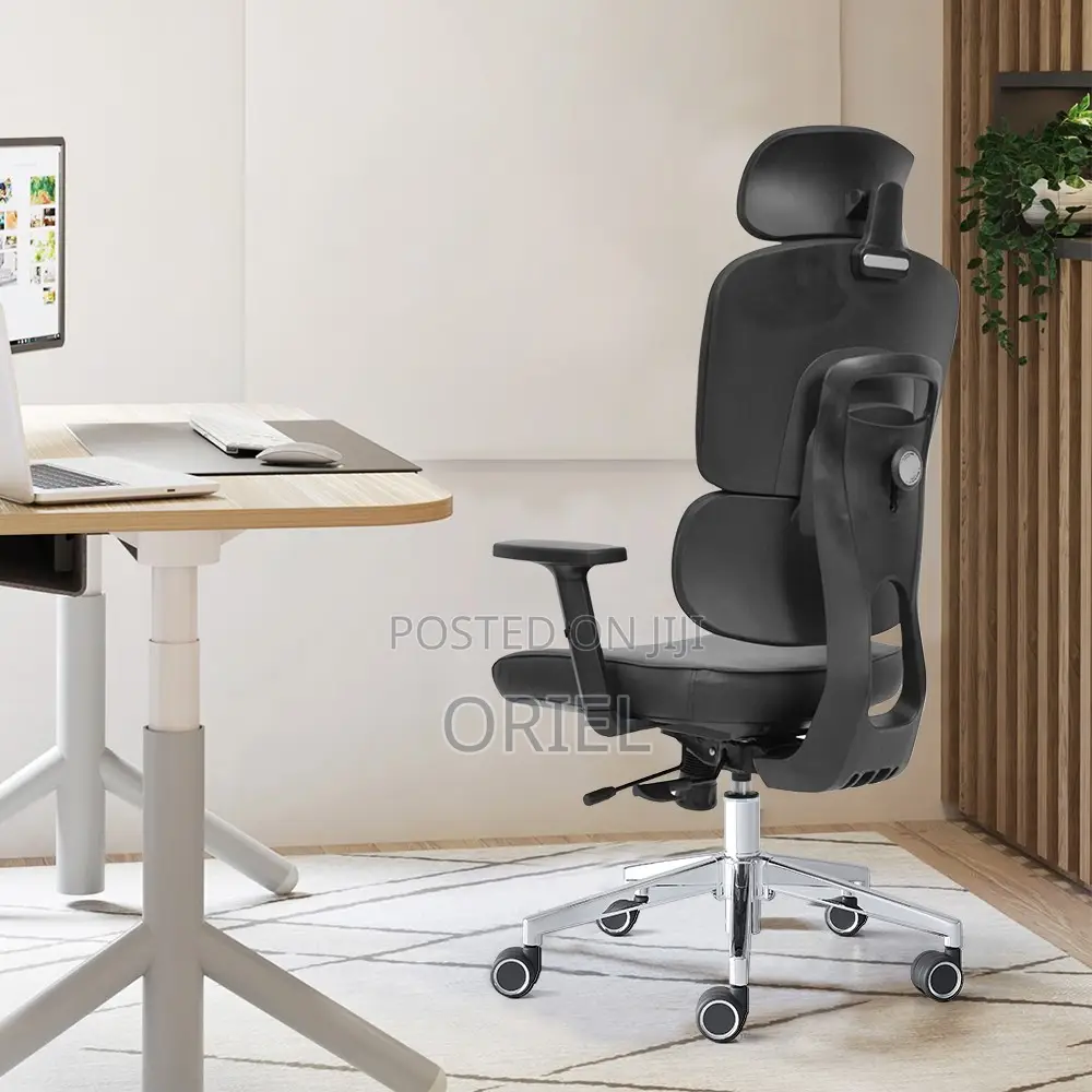 Office Chair : Premium High-Back Orthopedic Ergonomic Office Chair