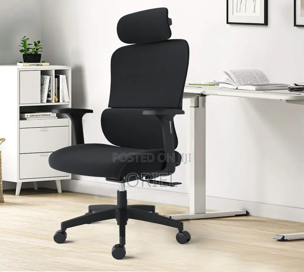 Office Chair : Premium High-Back Orthopedic Ergonomic Office Chair