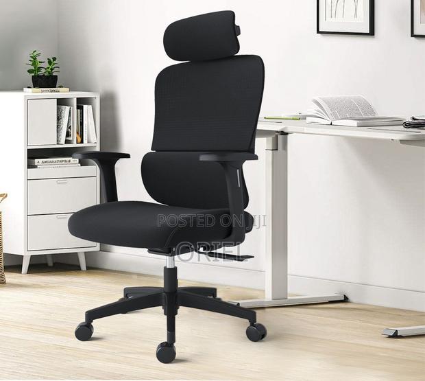Office Chair : Premium High-Back Orthopedic Ergonomic Office Chair - thumbnail 19