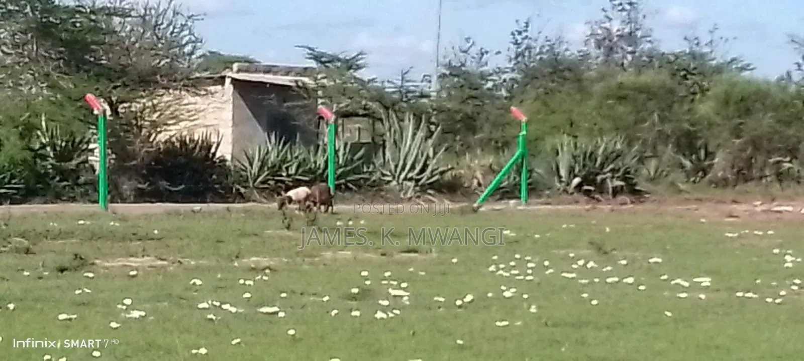 Prime Plots for at Tala Kangundo Road