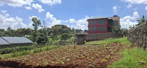 50x100 Available Plot for Kabete Gathiga