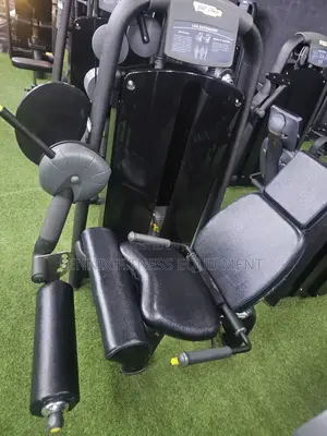 Commercial Leg Extension