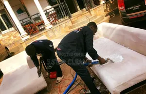 Simplified Sofa/Couch Cleaning