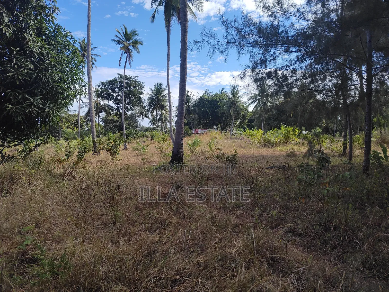 Uninterrupted Panoramic Ocean View Plot