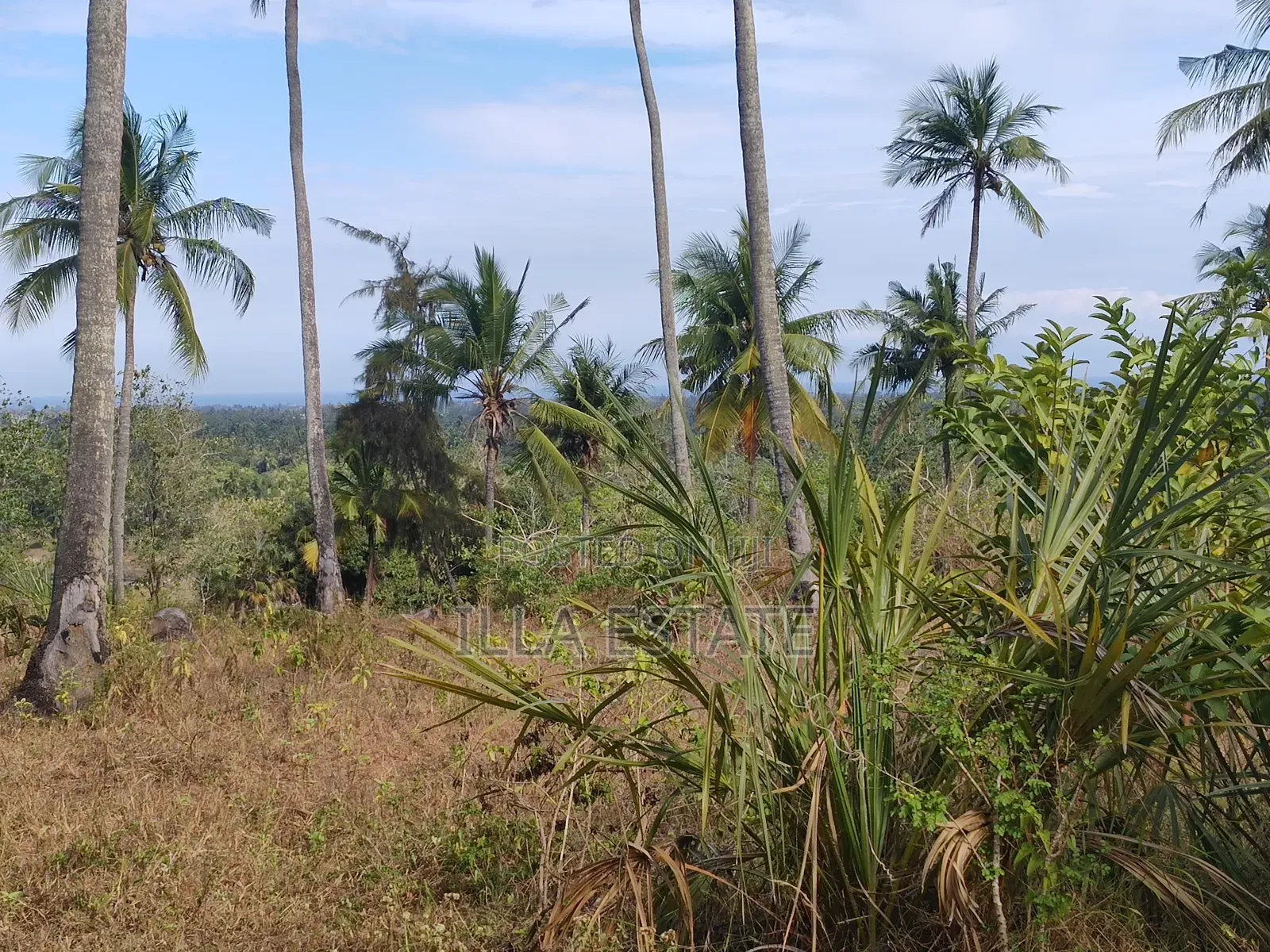 Uninterrupted Panoramic Ocean View Plot
