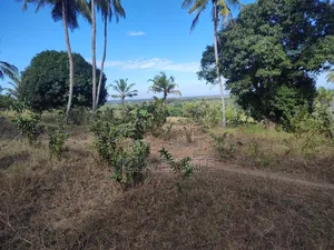 Uninterrupted Panoramic Ocean View Plot