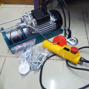 Total Electric Hoist 500kg