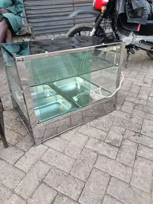 Food Warmer Display With Two Basins (Chips Warmer)