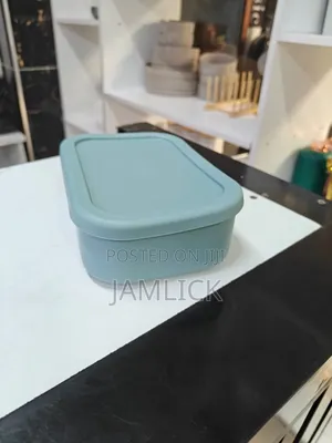 Partitioned Leak-Proof Silicone Lunch Box – Av