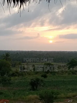 Uninterrupted Panoramic Ocean View Plot