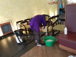 Fabric Sofa Cleaning Rug Cleaning