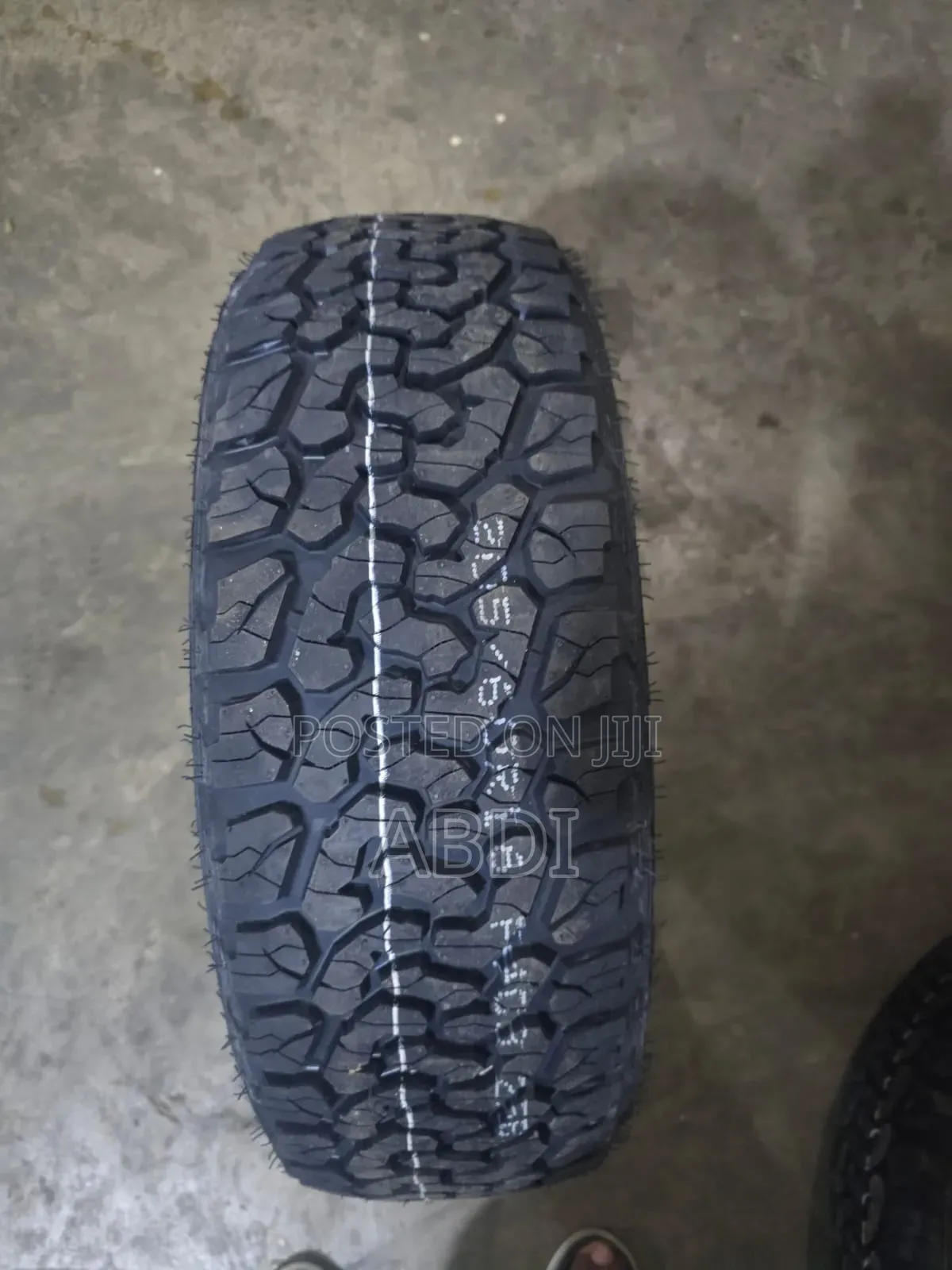 205/60r16 Evalanda a/T