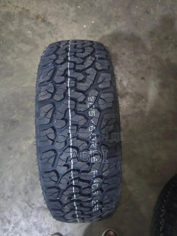 205/60r16 Evalanda a/T