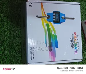 Mini Crane Scale