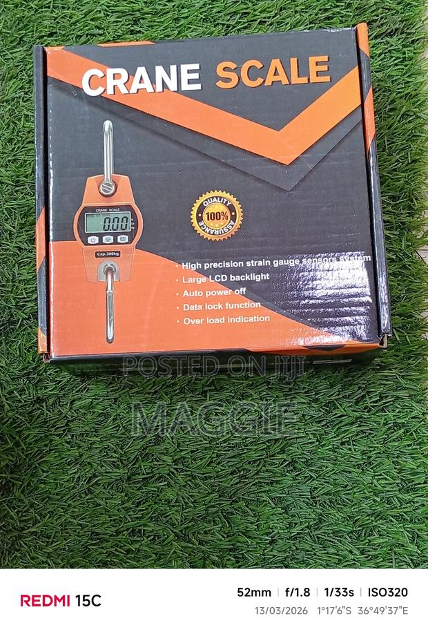 Crane Scale - main view