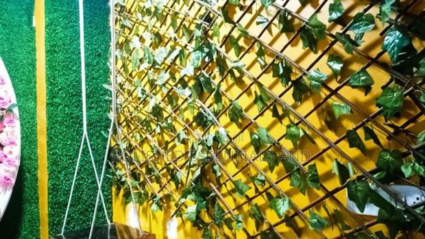 Expandable Wooden Green Fence