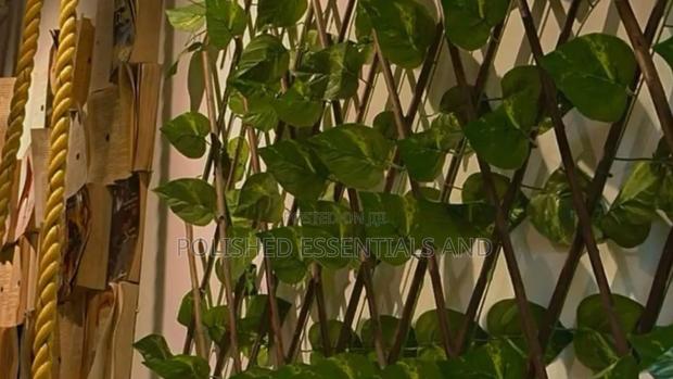 Beautiful Green Expandable Fence - main view