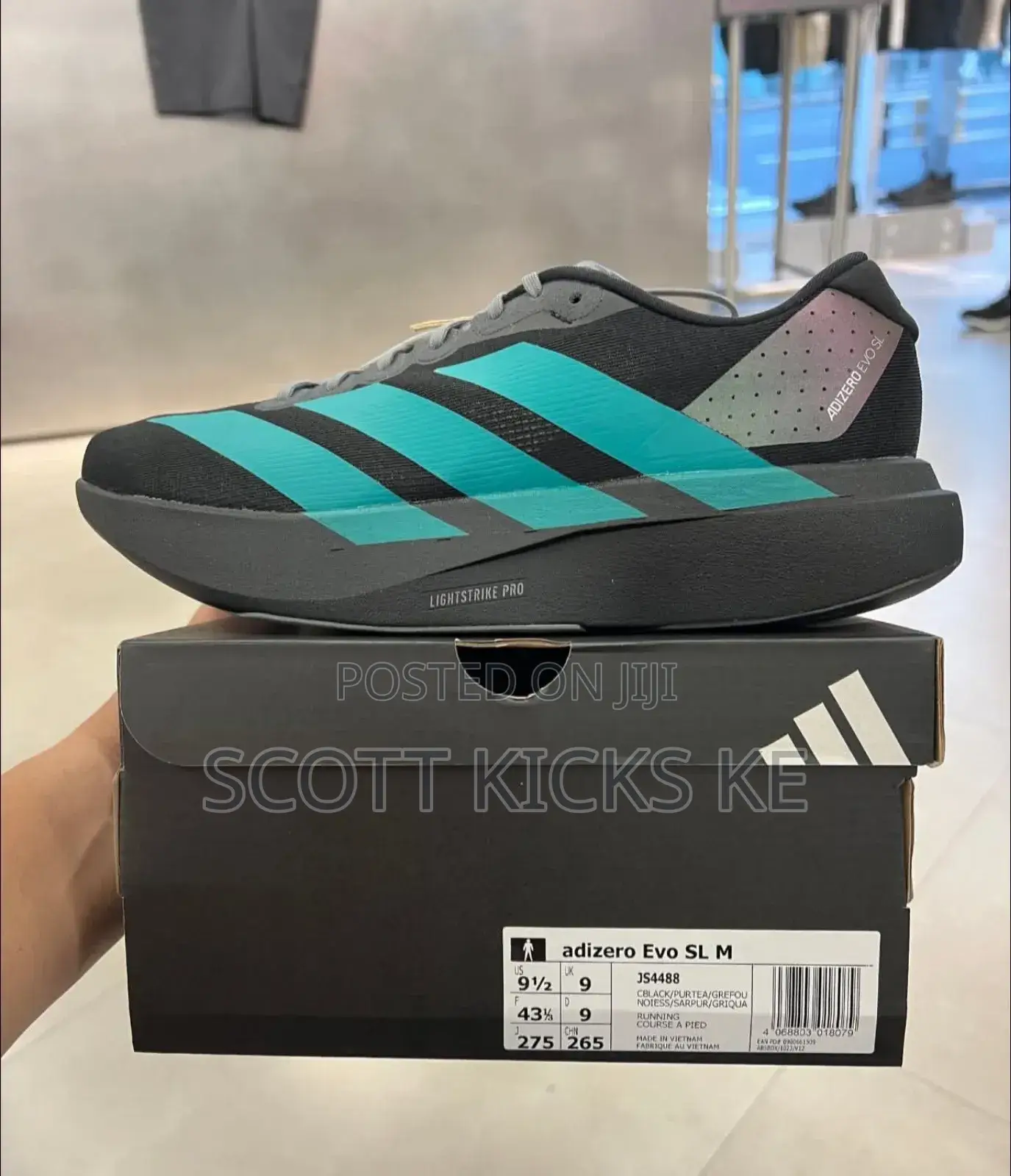 Adidas Pure Teal