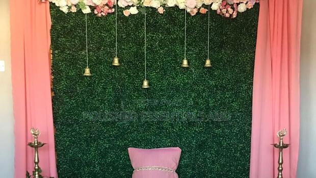 Green Hedges for Decoration - main view