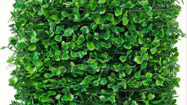 Green Hedges for Decoration - thumbnail 2