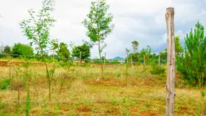 Prime Residential Plots for Sale in Kikuyu, Kamangu.