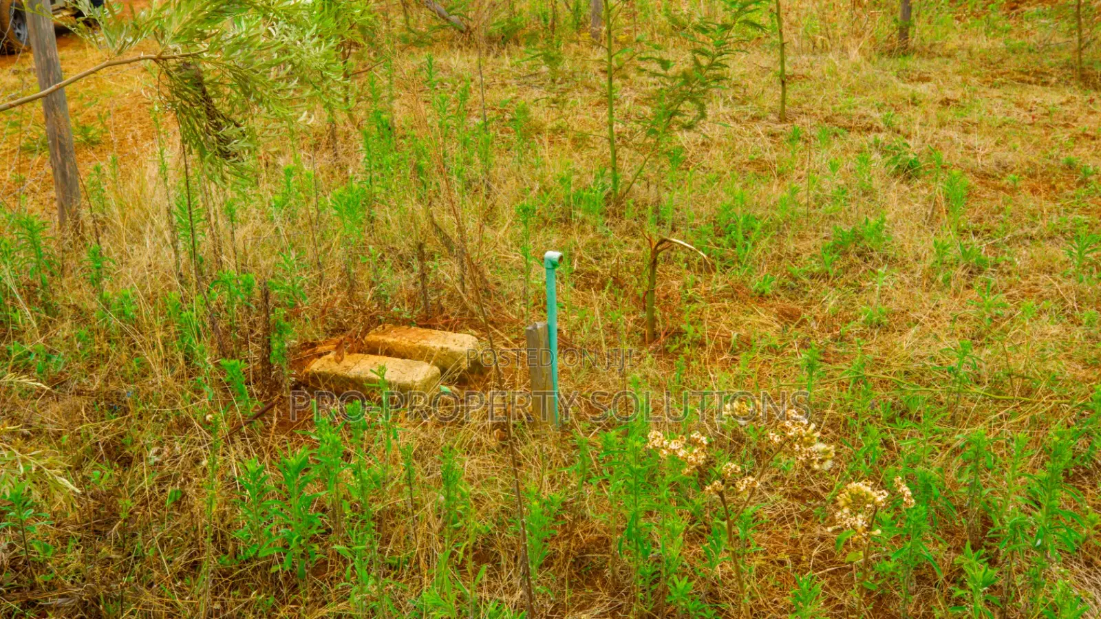 Prime Residential Plots for Sale in Kikuyu, Kamangu.