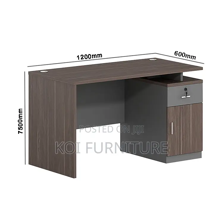 Office Desk : 1200mm Modern Study Office Desk