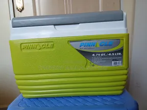 Cooler Box 4.5 Litres