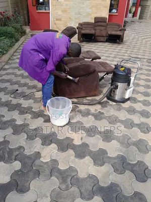 Sofa Cleaning/Chair Cleaning