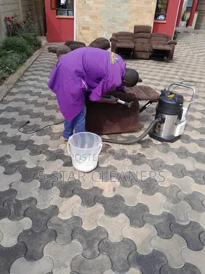 Sofa Cleaning/Chair Cleaning