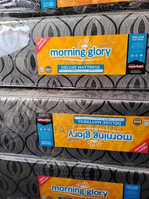 4×6×10 Morning Glory Mattress, Medium Density, Plain Comfort Tops - main view