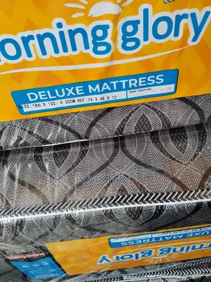 Morning Glory 4×6×10 Mattress, Medium Density, Extra Comfort